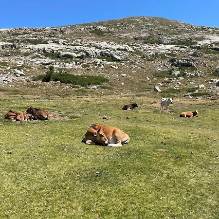Meuble Vecchio * Porto-Vecchio (Corsica)