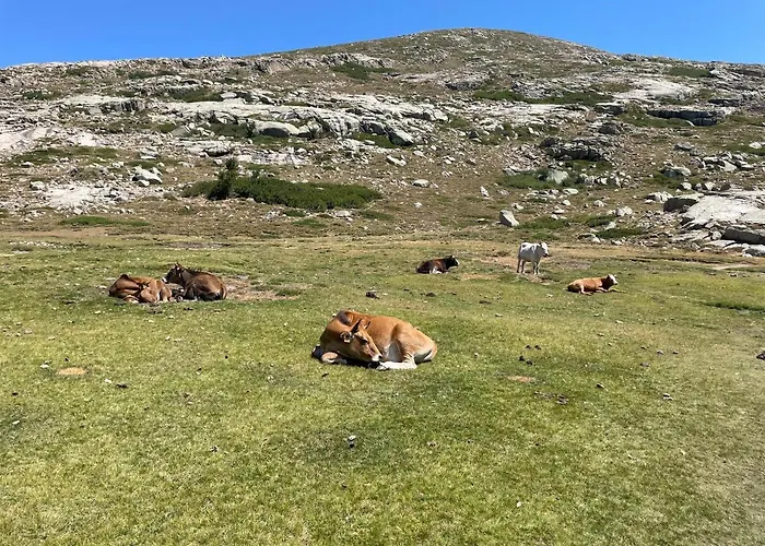 Meuble Vecchio * 维琪奥港